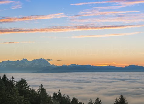 Bodensee im Wolkenmeer