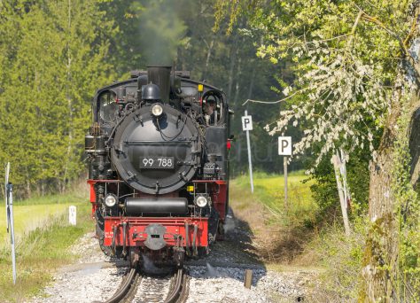 Die Lok Berta auf der Strecke Ochsenhausen-Warthausen