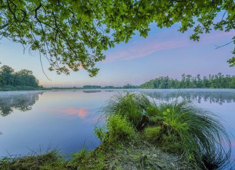 Häcklerweiher bei Blitzenreute, Oberschwaben