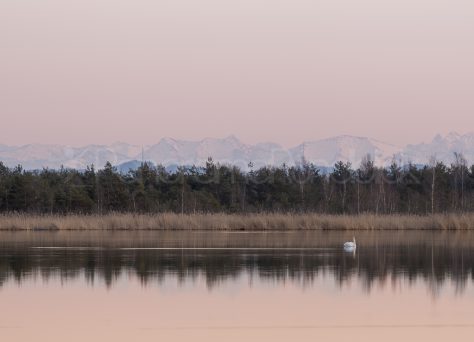 Häcklerweiher bei Blitzenreute, Oberschwaben