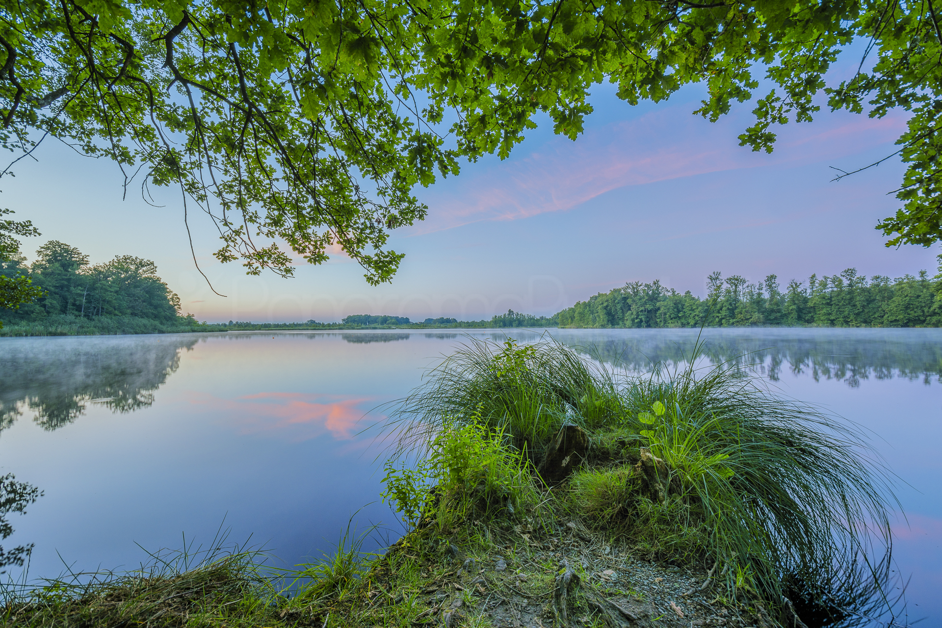 Häcklerweiher bei Blitzenreute, Oberschwaben