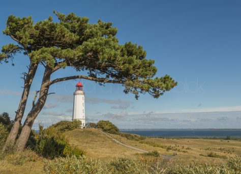 Leuchtturm Dornbusch, Insel Hiddensee