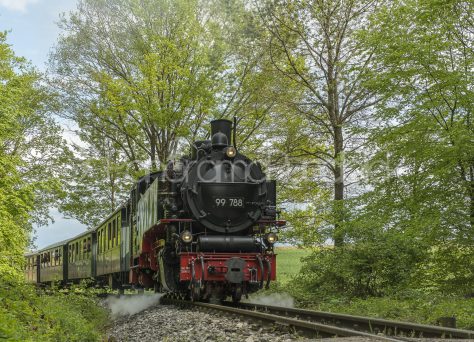 Lok Berta auf der Öchsle-Bahn, Oberschwaben