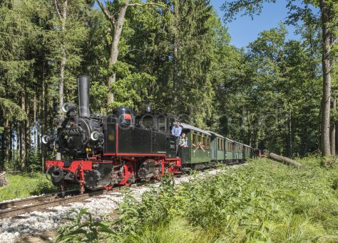 Lok Mallet auf der Öchsle-Bahn, Oberschwaben