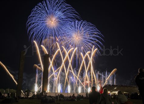 Pyronale 2013, Olympiastadion, Berlin