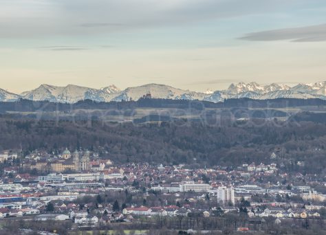 Weingarten mit Alpenpanorama